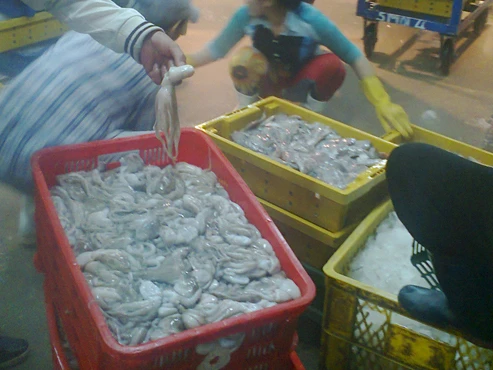 Chợ Bình Điền là một trong những đầu mối cung cấp bạch tuộc cho các nhà hàng, quán ăn ở TP.HCM