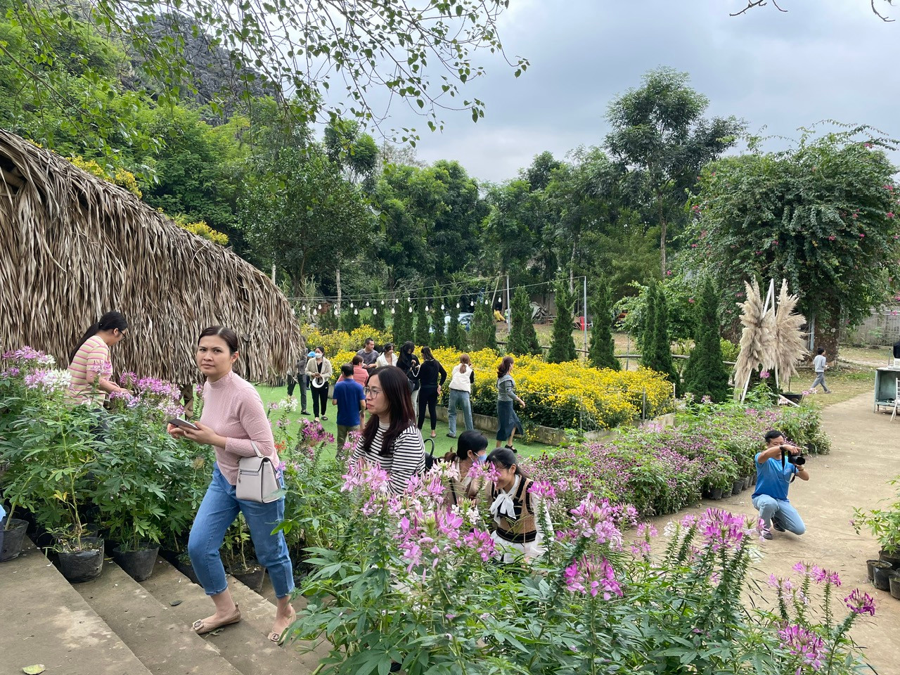 Khu du lịch Động Tiên Sơn (Phường Hàm Rồng, thành phố Thanh Hoá) là một trong những địa điểm thu hút khách trong dịp Tết.