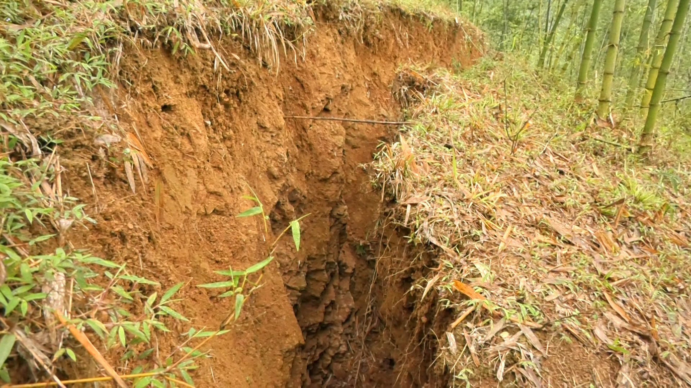 Vết nứt tạo thành rãnh sâu, rộng. Vết nứt tạo thành rãnh sâu, rộng.