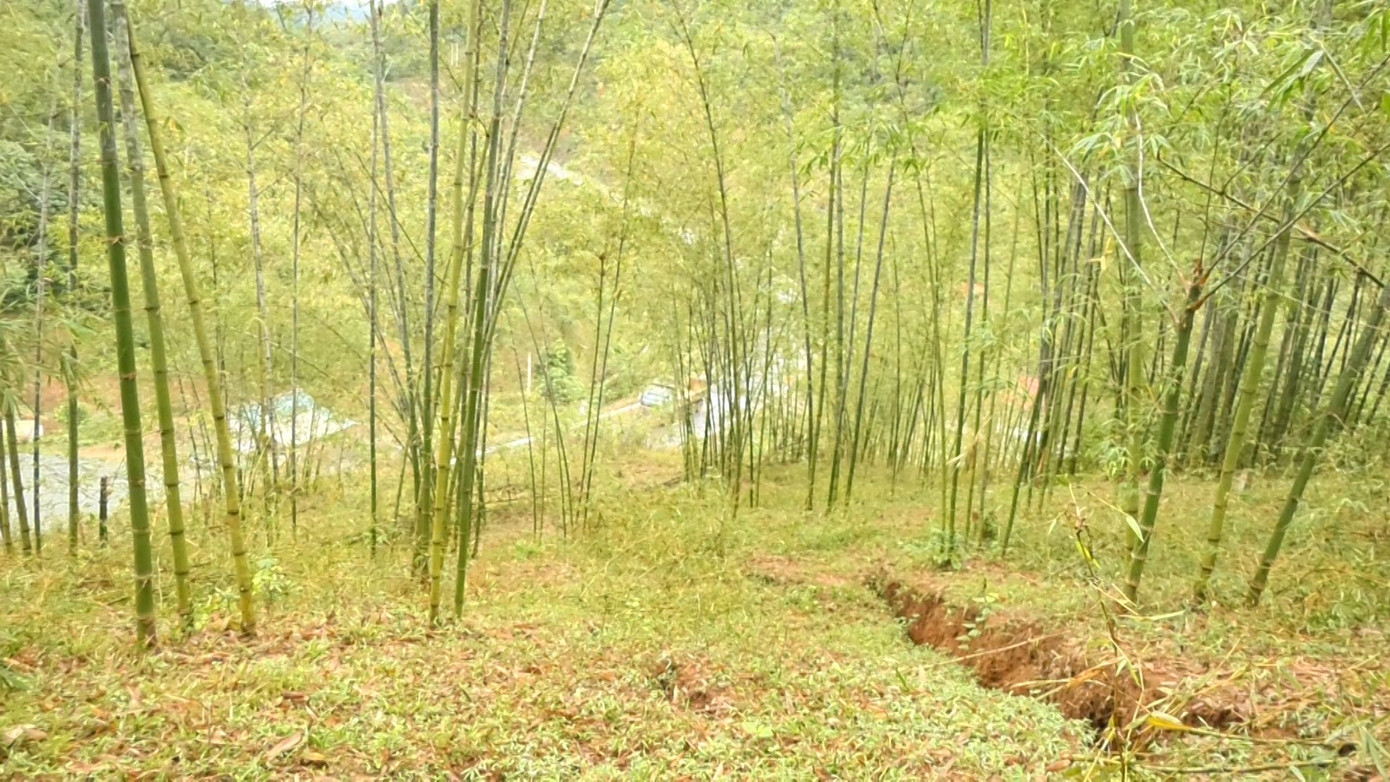 Các vết nứt vừa xuất hiện Các vết nứt vừa xuất hiện