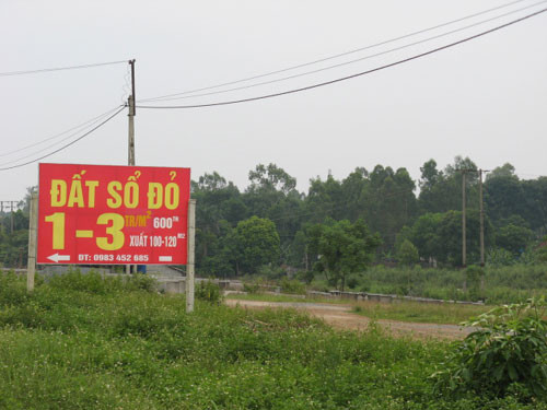 Biển môi giới, rao bán đất ghi cụ thể giá mọc lên nhan nhản
