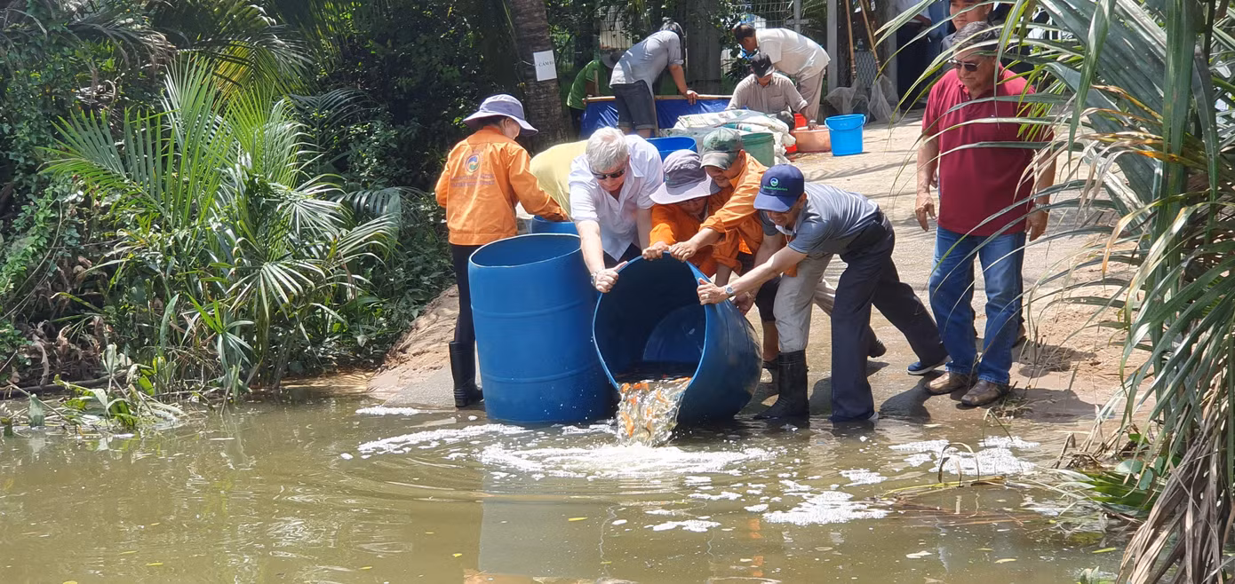 Thả 1 triệu con cá giống xuống sông Cần Giuộc ảnh 1