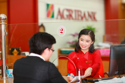 Agribank góp phần đẩy nhanh quá trình xử lý nợ xấu ảnh 2