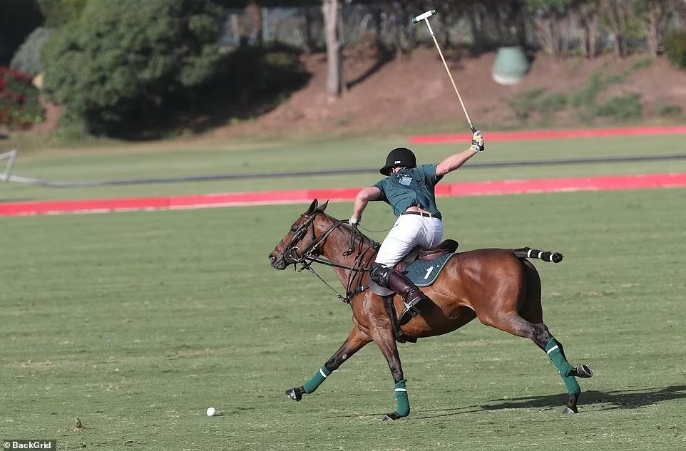 Harry chơi polo gần như suốt cả cuộc đời. Anh được đánh giá có kỹ thuật tốt.