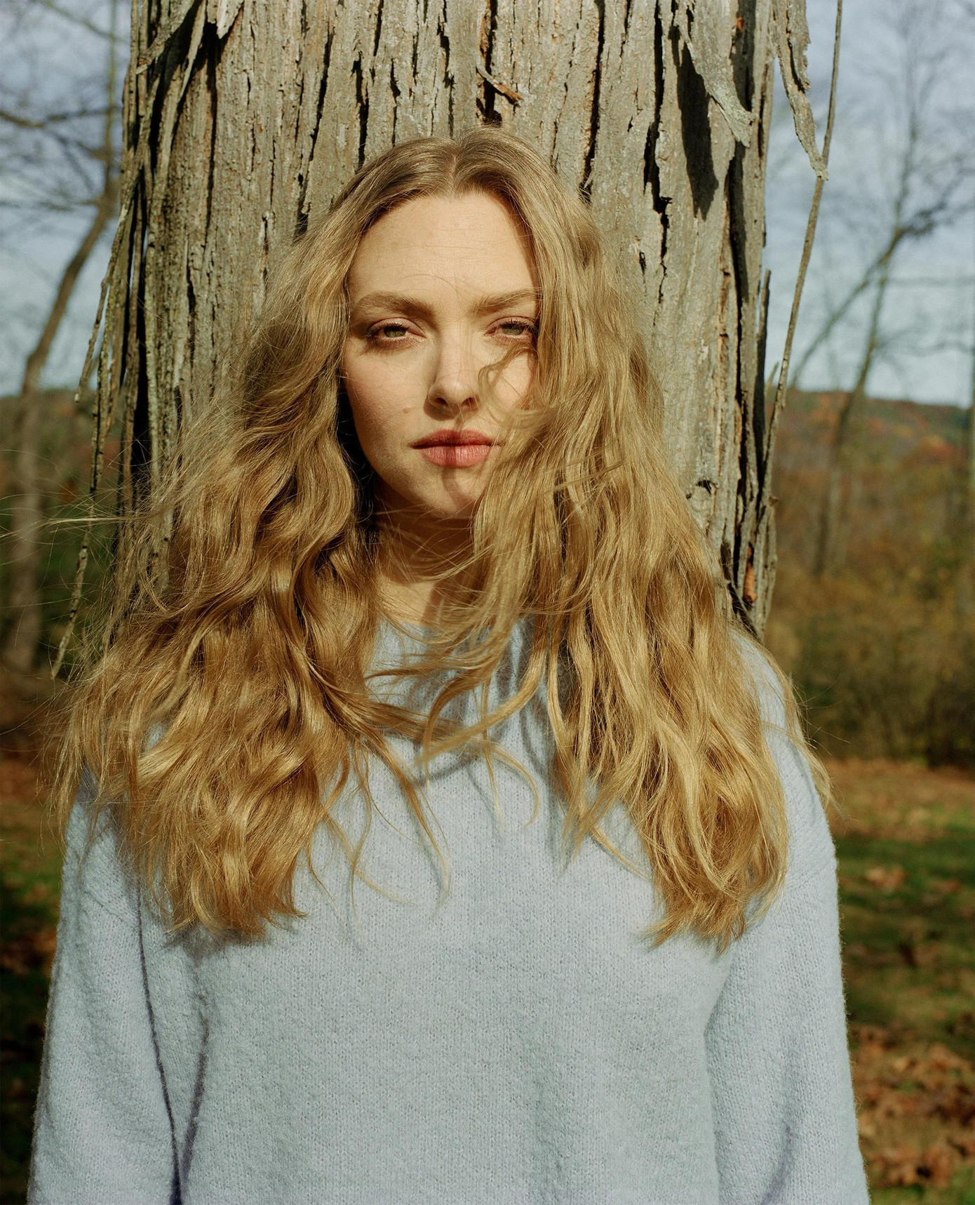 Ngôi sao Mỹ Amanda Seyfried - danh mục &quot;Nghệ sĩ&quot;.