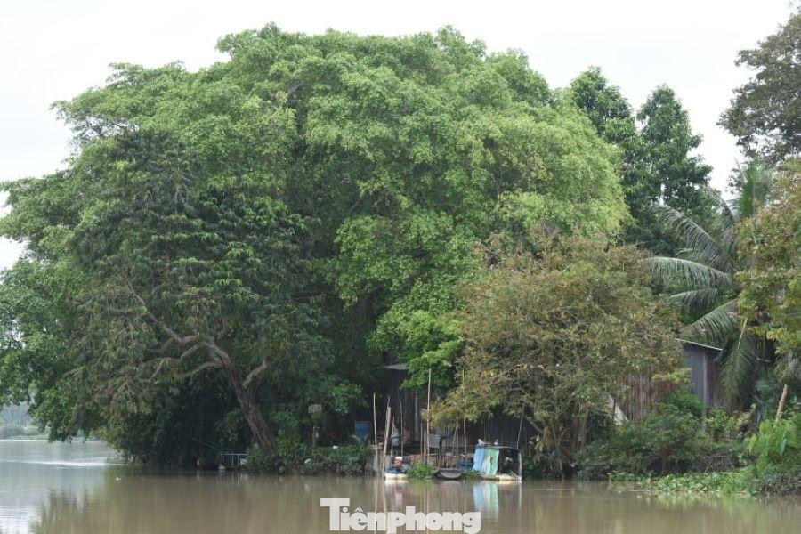 Cuộc sống yên bình ven sông Sài Gòn