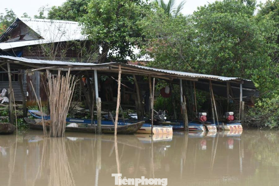 Họ sống trong những căn nhà nhỏ thó bên sông Sài Gòn nhưng cũng có người dùng thuyền làm nhà