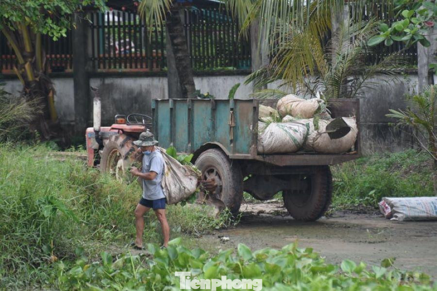 Người dân sống ven sông đi hái rau