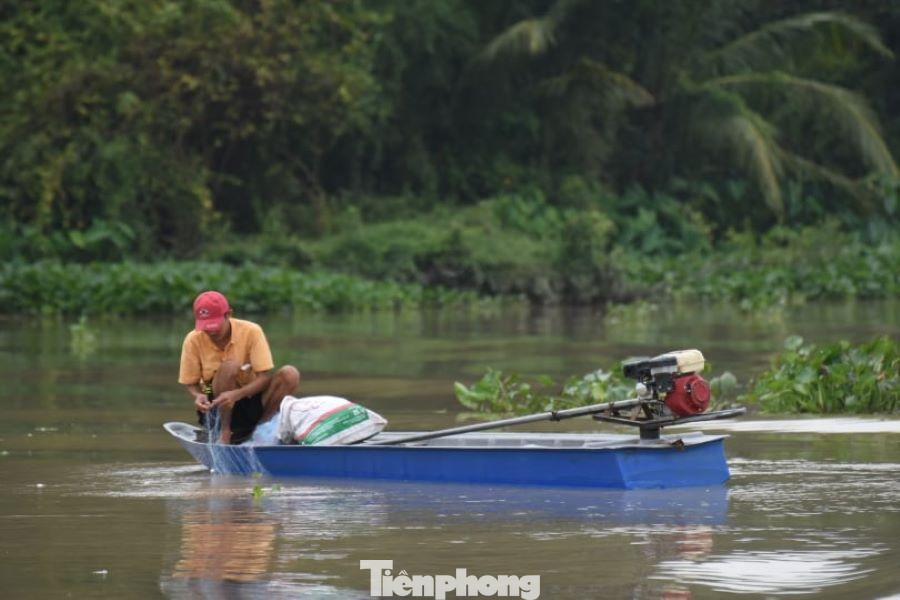 Họ bắt cá, hái rau giữa lòng sông Sài Gòn