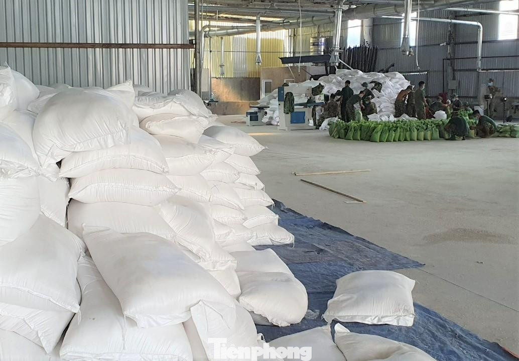 Ngày 24/8, lực lượng chức năng tại TP Thuận An và TX Tân Uyên và quân đội chi viện đã tất bật chuẩn bị từng phần thực phẩm mang phát tận nhà dân với quyết tâm không để dân phải đói trong những ngày “khóa chặt”. Lực lượng quân đội chi viện Bình Dương tham gia công tác kiểm soát an ninh và cấp dưỡng cho dân đợt này khoảng 1.000 cán bộ, chiến sĩ thuộc Trung đoàn Bộ binh 271, Sư đoàn 5 (Quân khu 7).