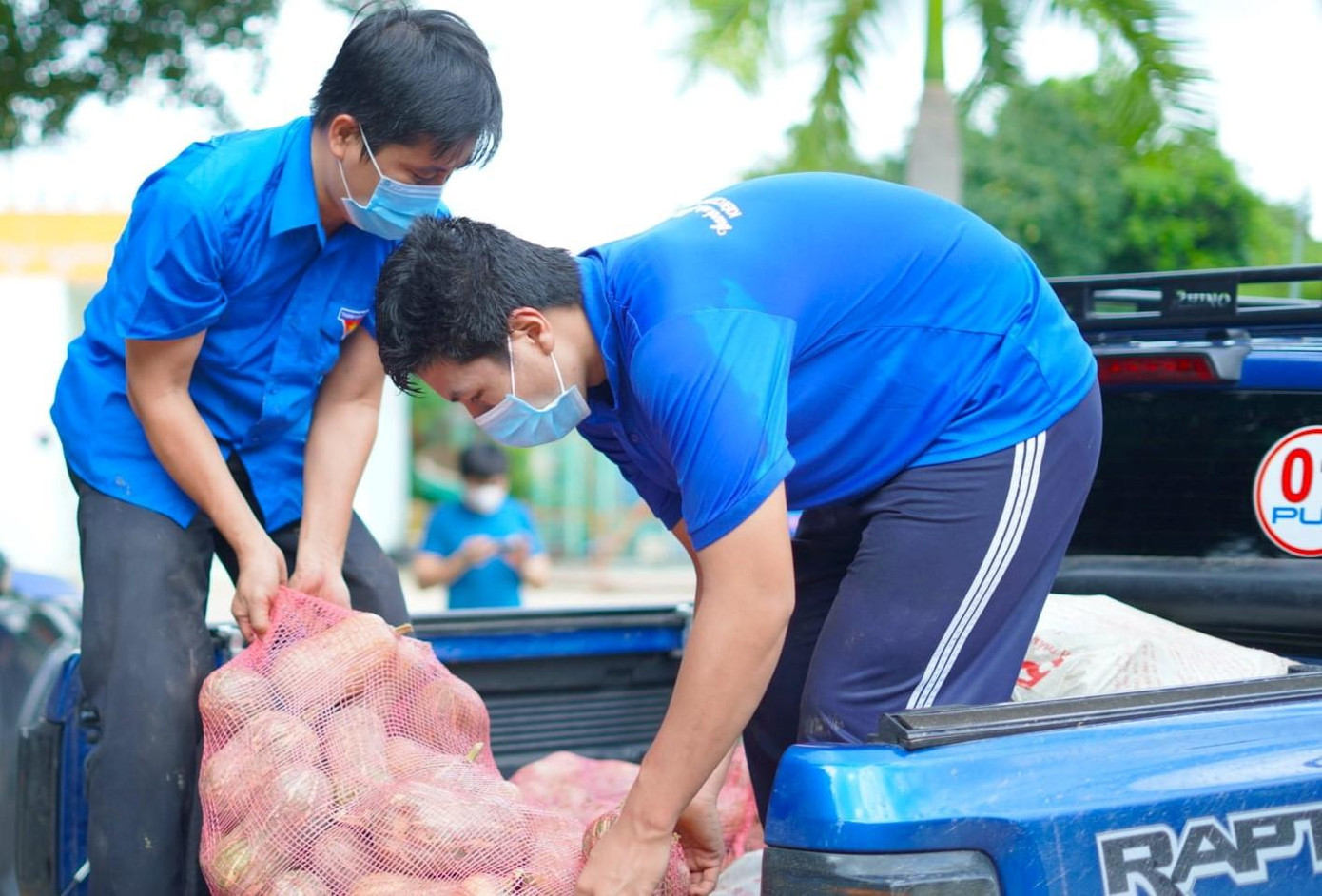 Nông sản được vận chuyển từ vườn bằng xe bán tải đến điểm tập kết Nông sản được vận chuyển từ vườn bằng xe bán tải đến điểm tập kết