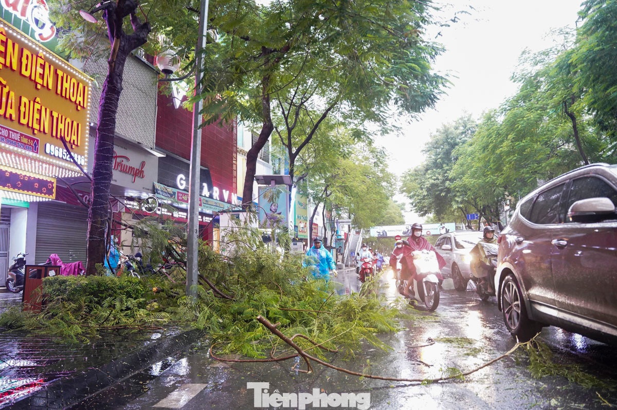 Một cành cây bị gẫy do mưa kéo dài trên phố Thái Hà (quận Đống Đa, Hà Nội), tiềm ẩn nguy cơ gây mất an toàn cho người tham gia giao thông.
