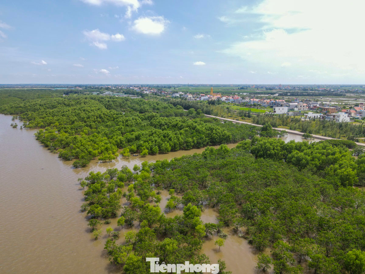 Khu Bảo tồn thiên nhiên đất ngập nước Tiền Hải là một trong hai vùng lõi của Khu dự trữ sinh quyển châu thổ sông Hồng, được UNESCO công nhận vào ngày 2/12/2004. Đây là nơi lưu giữ những giá trị sinh học đa dạng, phong phú với 215 loài chim, trong đó có gần 160 loài chim di cư, hơn 50 loài chim nước, nhiều loài quý hiếm được ghi trong sách đỏ thế giới. Đây là sân chim quan trọng không chỉ đối với Việt Nam mà còn đối với thế giới nhờ hệ động thực vật đáy phong phú.