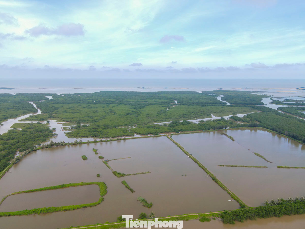 Theo Quyết định 2159, Khu bảo tồn có chức năng bảo tồn môi trường, sinh cảnh và quần thể sinh vật vùng cửa sông Ba Lạt. Bảo tồn sinh cảnh tự nhiên tiêu biểu, độc đáo của hệ sinh thái đất ngập nước, tạo điều kiện thuận lợi cho các tập đoàn chim nước sinh sống hoặc dừng chân trên đường di cư hằng năm.