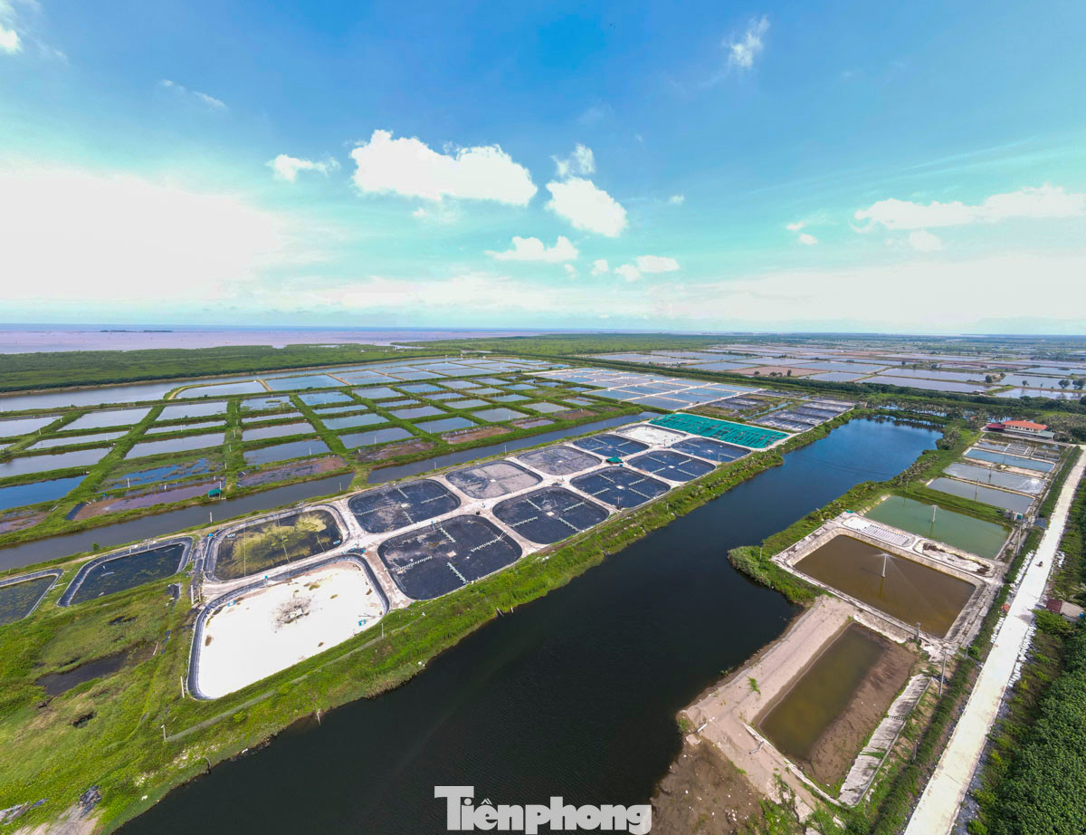 Khu bảo tồn cũng có vai trò phòng hộ ven biển và cửa sông, đảm bảo an ninh, môi trường và sự phát triển bền vững của tỉnh cũng như khu vực; làm hiện trường nghiên cứu khoa học phục vụ nhu cầu nghiên cứu trong nước và quốc tế; nuôi trồng thực nghiệm, bảo tồn các loài gene quý hiếm, giáo dục môi trường và tổ chức du lịch sinh thái.