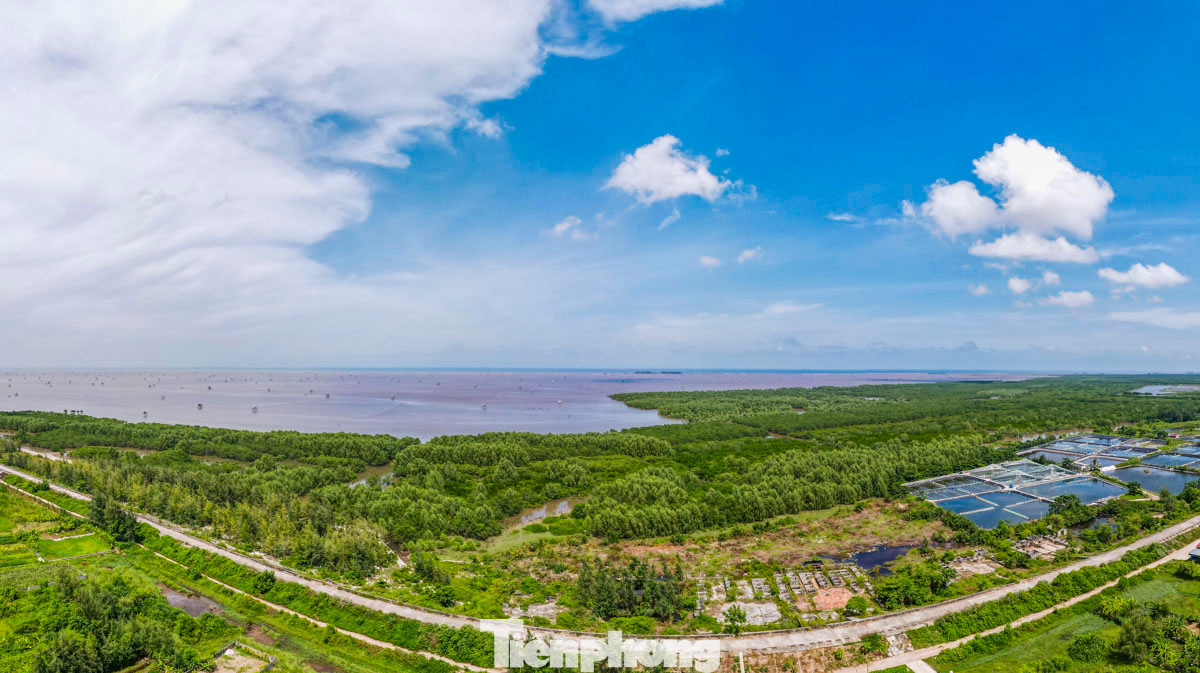 Theo Quyết định 731 (năm 2023) của UBND tỉnh Thái Bình xác định quy mô diện tích của Khu Bảo tồn thiên nhiên đất ngập nước Tiền Hải chỉ còn 1.320ha, bao gồm 632ha đất có rừng ngập mặn và 688ha đất chưa có rừng. Vị trí của Khu bảo tồn nằm ở vùng ngoài đê biển thuộc ba xã Nam Phú, Nam Hưng, Nam Thịnh của huyện Tiền Hải.