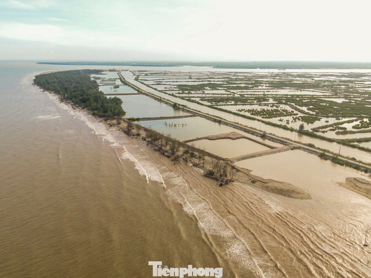 Trước đó, UBND tỉnh Thái Bình ban hành Quyết định 2159 (ngày 26/9/2014) về việc phê duyệt dự án và xác lập Khu Bảo tồn thiên nhiên đất ngập nước Tiền Hải với quy mô là 12.500ha, gồm 1.430ha rừng, 11.050ha đất ngập nước và bãi bồi. Trong ảnh là dải cồn cát Cồn Vành (xã Nam Phú, huyện Tiền Hải).