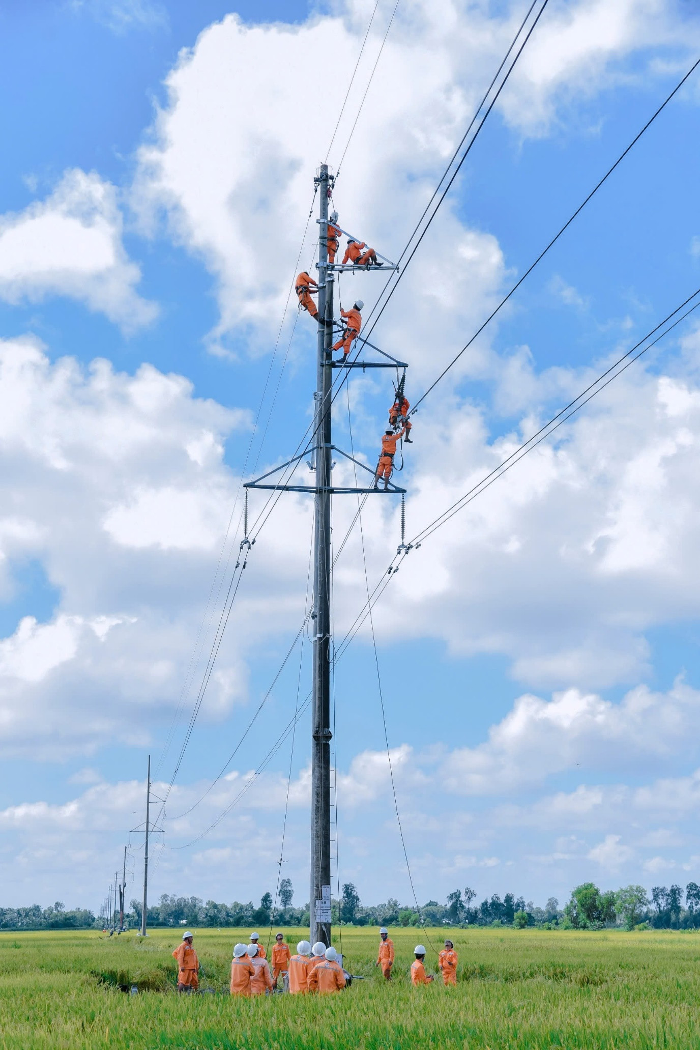 Nâng cấp đường dây 110kV 173 Rạch Giá 2 -172 Minh Phong tại huyện Châu Thành (Kiên Giang)