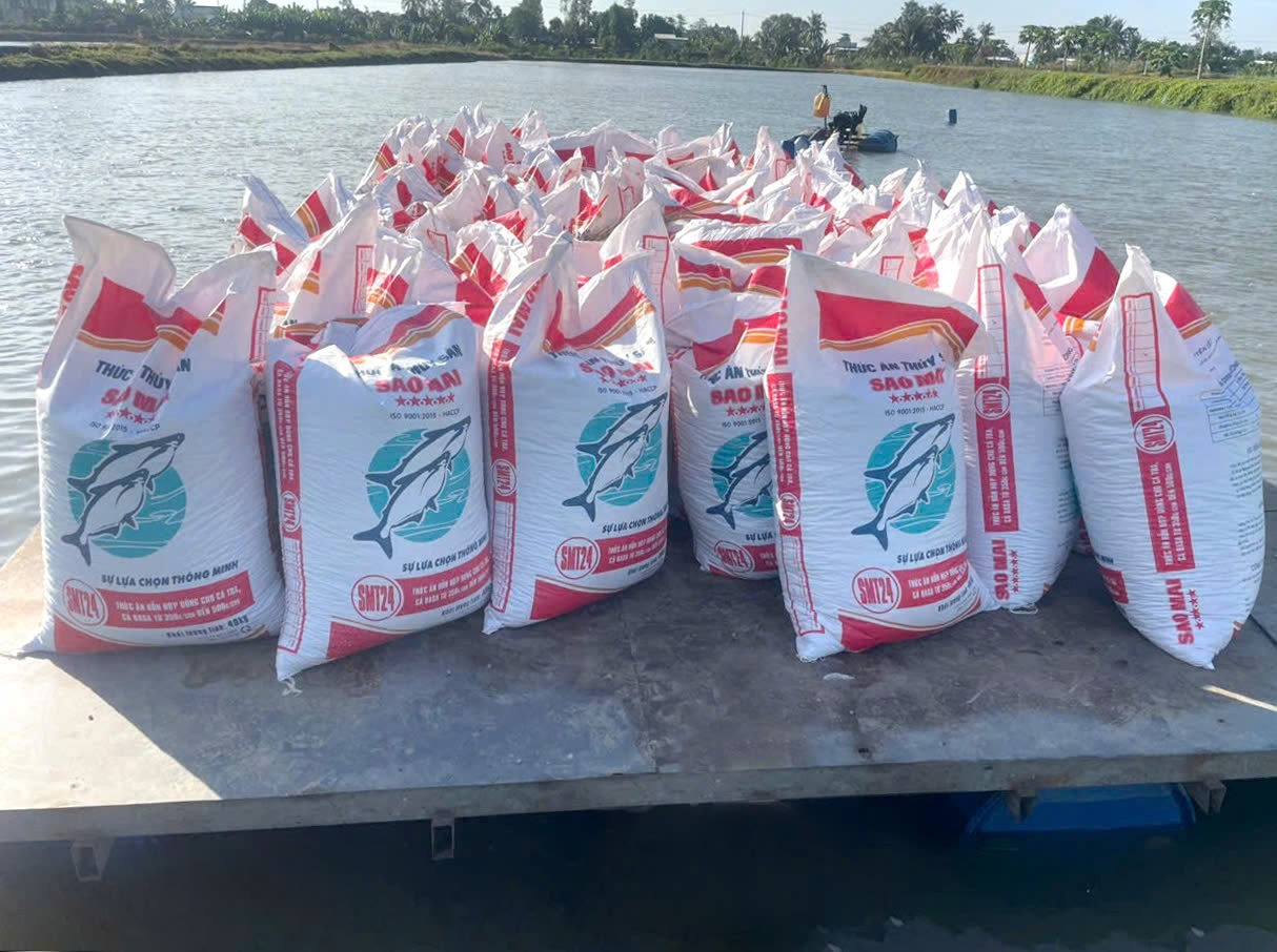 SMT24 - sản phẩm mới của Sao Mai Super Feed đáp ứng cho hộ nuôi trong giai đoạn cá thương phẩm
