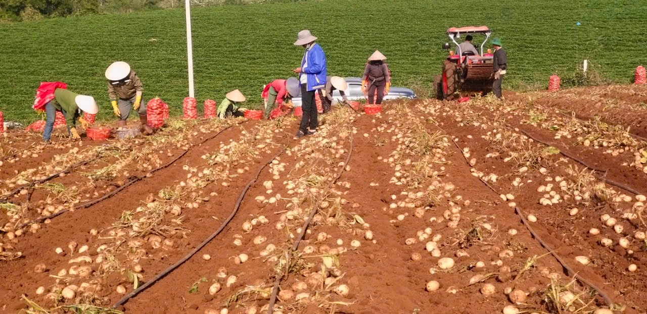 PepsiCo Foods Việt Nam đồng hành với nông dân trong chương trình trồng khoai tây bền vững từ 2008. PepsiCo Foods Việt Nam đồng hành với nông dân trong chương trình trồng khoai tây bền vững từ 2008.