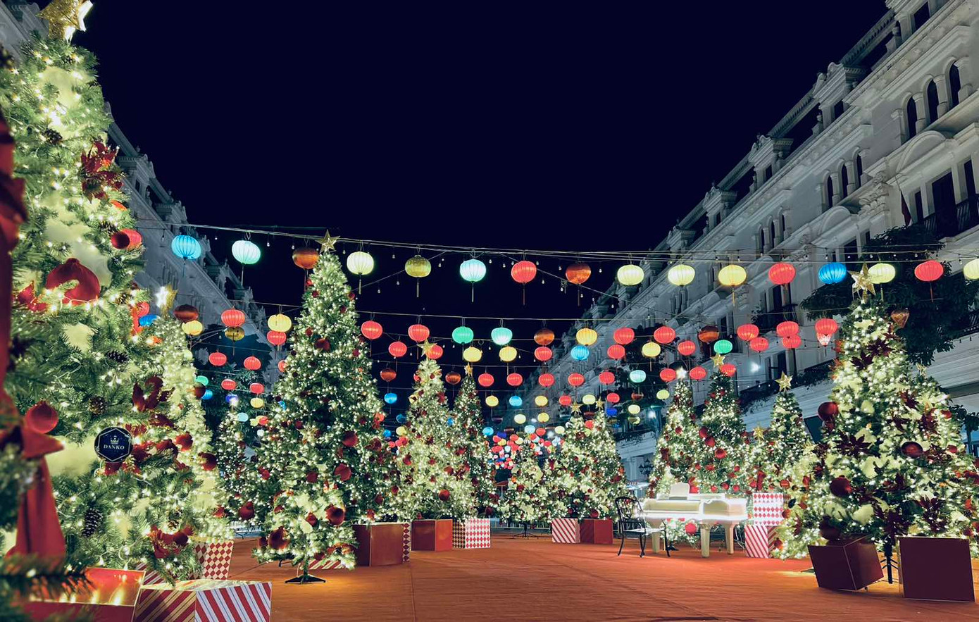 Vườn thông lớn nhất và lung linh ánh đèn tại KĐT Danko City