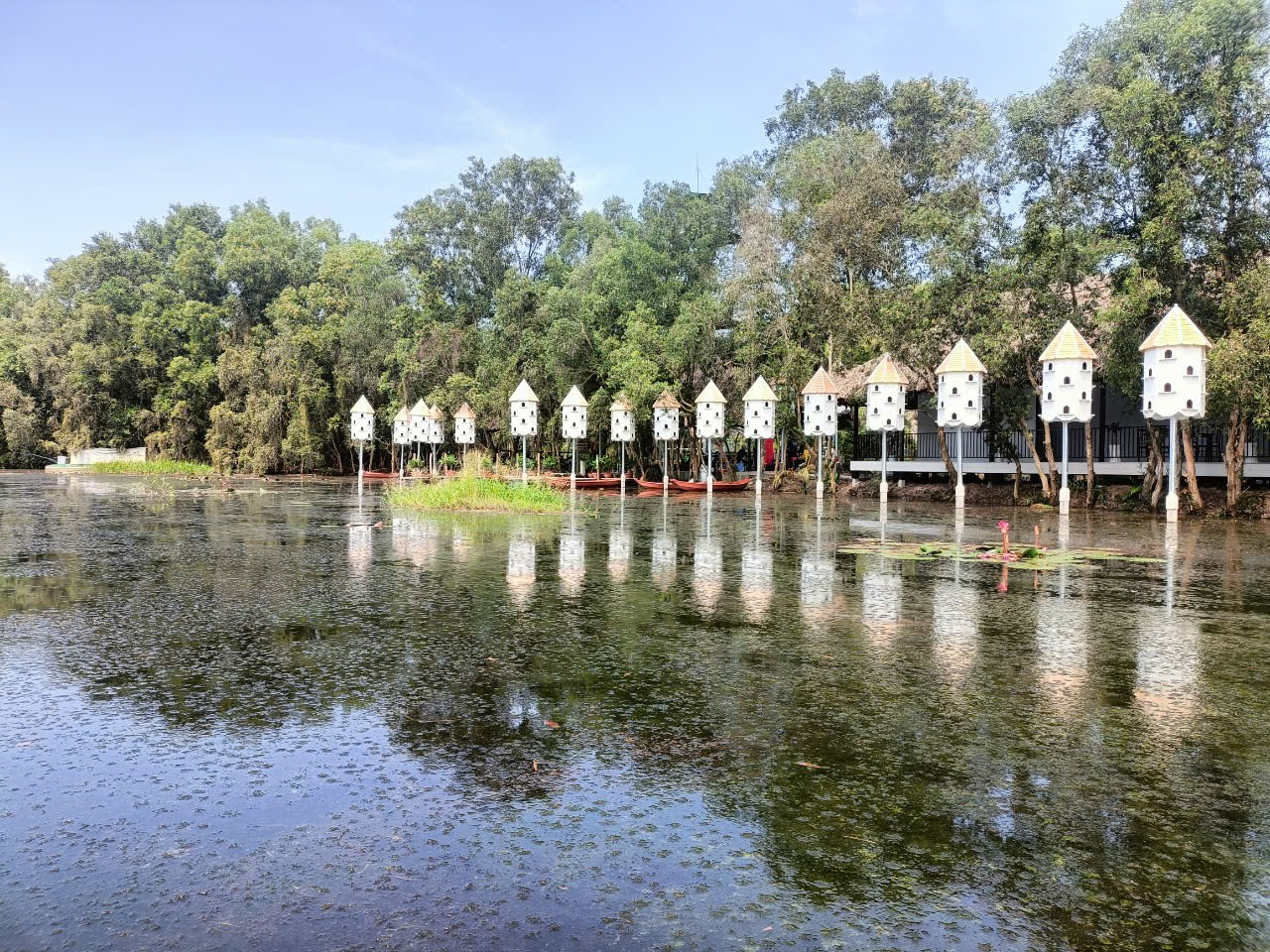 Chuỗi lâu đài bồ câu soi trên mặt đầm lầy ở Điểm tham quan khu bảo tồn Đồng Tháp Mười Chuỗi lâu đài bồ câu soi trên mặt đầm lầy ở Điểm tham quan khu bảo tồn Đồng Tháp Mười