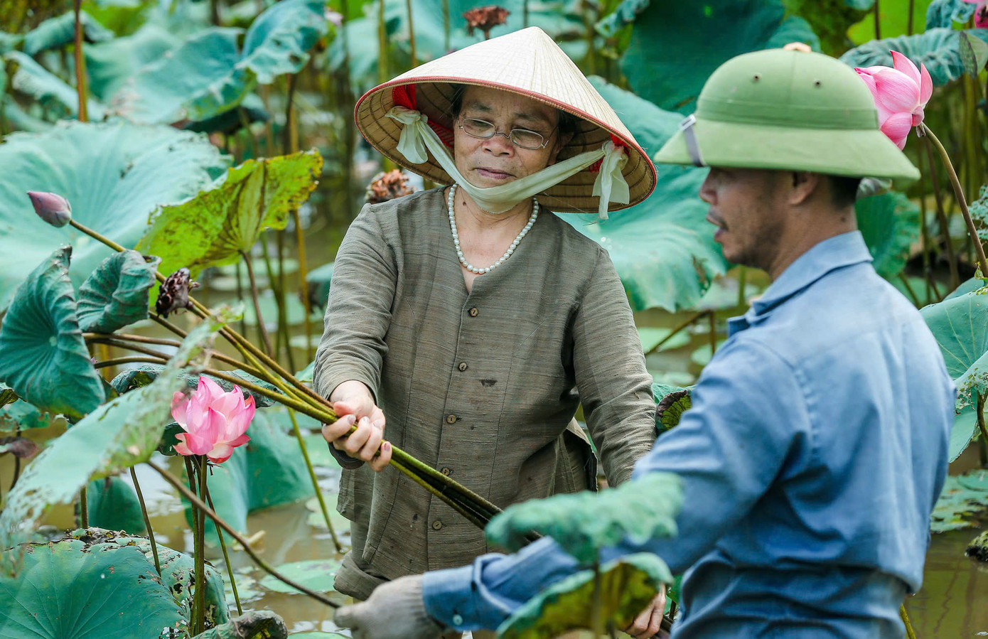 Hiện Công ty TNHH Dâu Tằm Tơ Mỹ Đức của bà Thuận đang sản xuất ra nhiều sản phẩm khăn, chăn, vải tơ tằm, tơ sen cung cấp cho thị trường trong và ngoài nước.