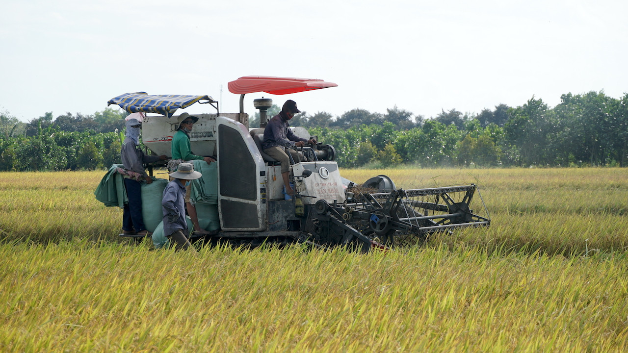 Sản lượng của Sóc Trăng đạt trên 2,1 triệu tấn/năm. Ảnh: Nhật Huy Sản lượng của Sóc Trăng đạt trên 2,1 triệu tấn/năm. Ảnh: Nhật Huy