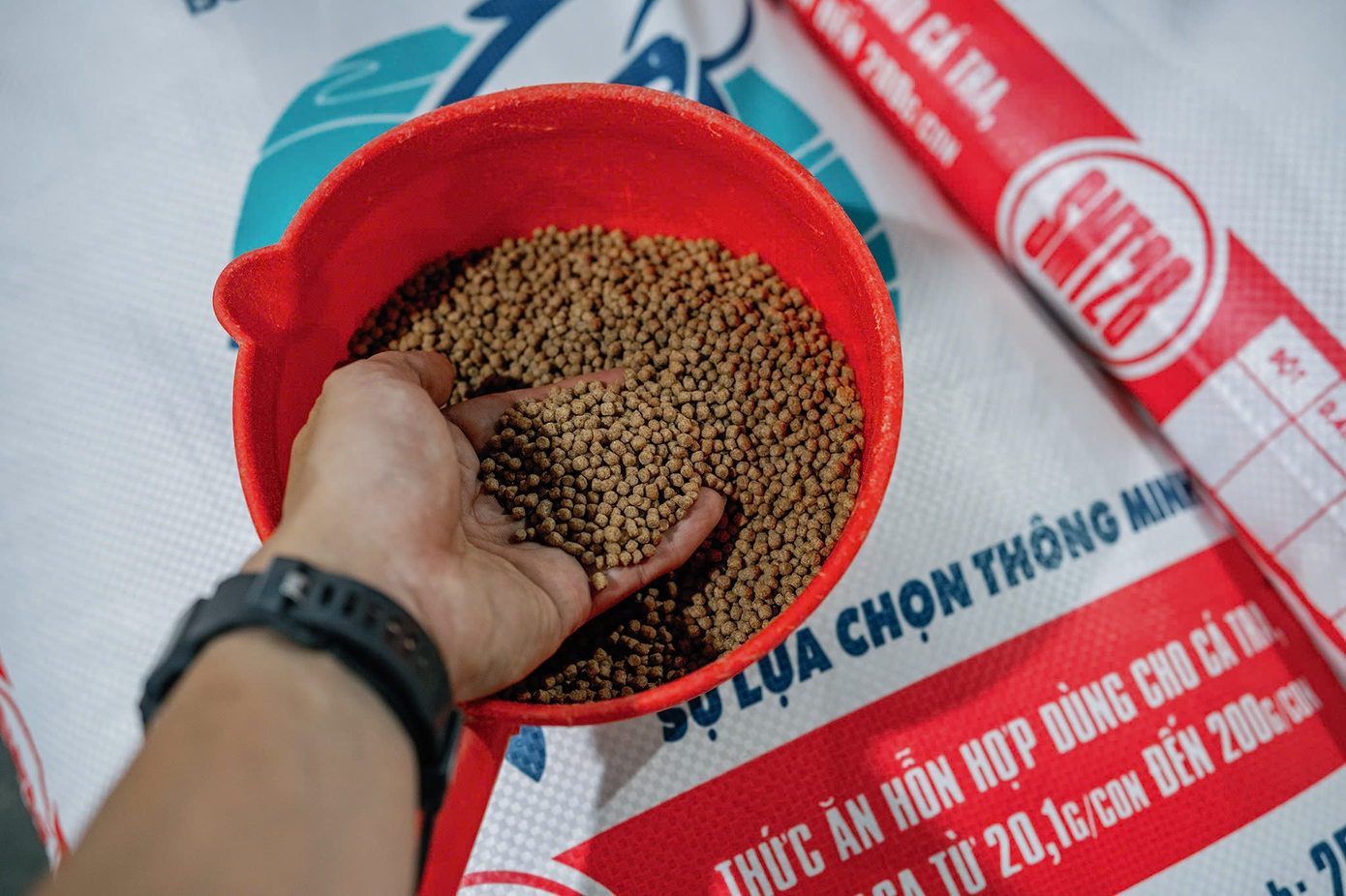 Bám sát tiêu chí 3H: Health, High Quality, High Technology (Sức khỏe - Chất lượng cao - Công nghệ cao), đạt chỉ số FCR tốt, chỉ cần 1,5kg thức ăn để tăng 1kg trọng lượng cá tra. Bám sát tiêu chí 3H: Health, High Quality, High Technology (Sức khỏe - Chất lượng cao - Công nghệ cao), đạt chỉ số FCR tốt, chỉ cần 1,5kg thức ăn để tăng 1kg trọng lượng cá tra.