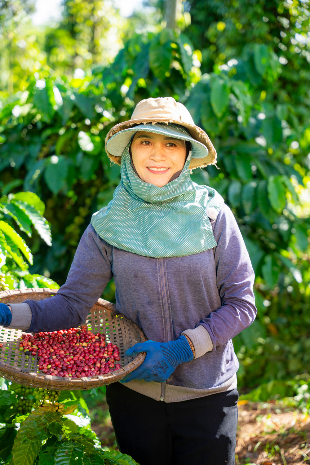 Chương trình NESCAFÉ Plan đã giúp thay đổi toàn diện, tích cực đời sống của cộng đồng nông dân trồng cà phê cũng như ngành cà phê Việt Nam