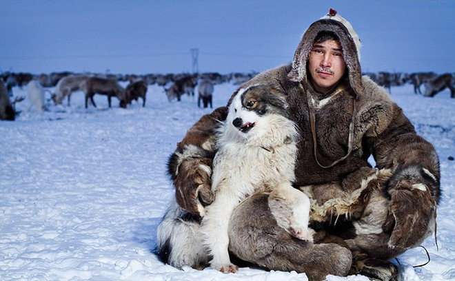 Một người đàn ông ở Chukotka chụp ảnh cùng chó cưng. Xa xa, bầy tuần lộc, loài động vật gắn bó với bộ tộc Inuit, đang gặm cỏ trên tuyết. Ảnh: Sash Leahovcenco