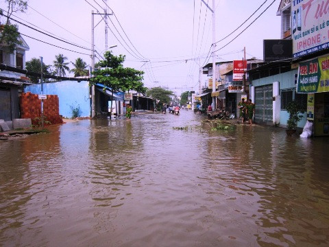 Khoảng 1km đường Tam Bình, phường Hiệp Bình Chánh chìm trong biển nước do ảnh hưởng của vụ vỡ đê bao tối qua