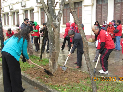 Trồng cây xanh tại Trường Tiểu học Nam Trung Yên 