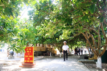 đảo xanh bóng bàng vuông