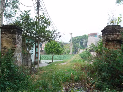 Hoang phế khu trại ấp Tự Lực Văn Đoàn. Hoang phế khu trại ấp Tự Lực Văn Đoàn