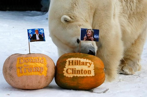 Ông Donald Trump cùng vợ đi bỏ phiếu ảnh 39