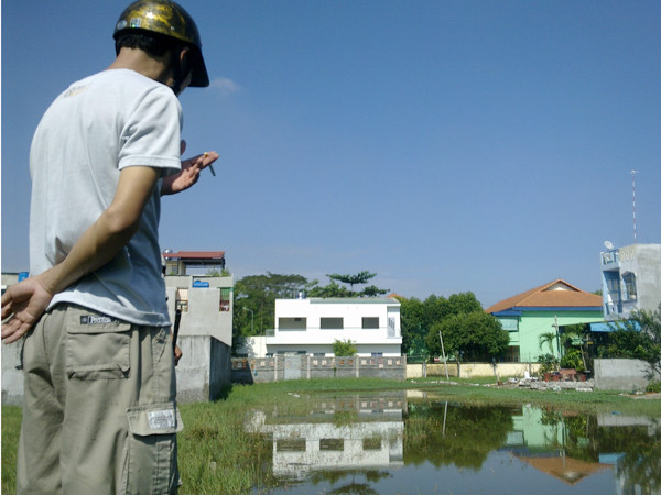 Một cánh đồng đầy đỉa sau khi chủ vựa bỏ đi 