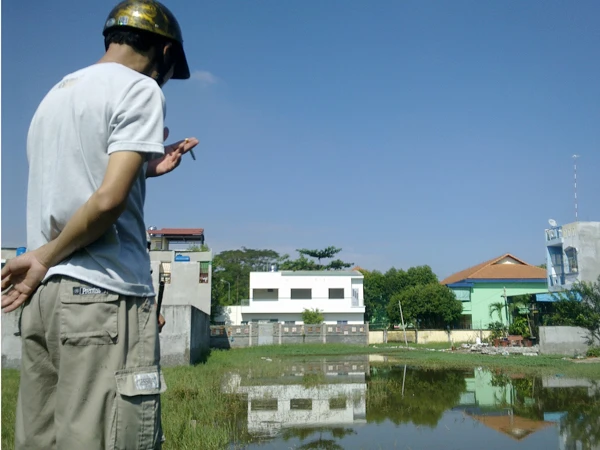 Một cánh đồng đầy đỉa sau khi chủ vựa bỏ đi 