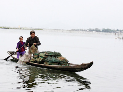 Hằng ngày ông vẫn thả lừ, buông lưới bắt cá kiếm sống trên phá. Ảnh: Ngọc Văn. Hằng ngày ông vẫn thả lừ, buông lưới bắt cá kiếm sống trên phá Ảnh: Ngọc Văn
