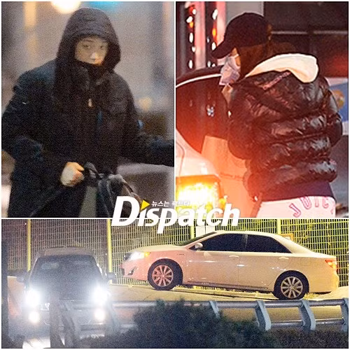 Kim Tae Hee và Bi Rain hẹn hò