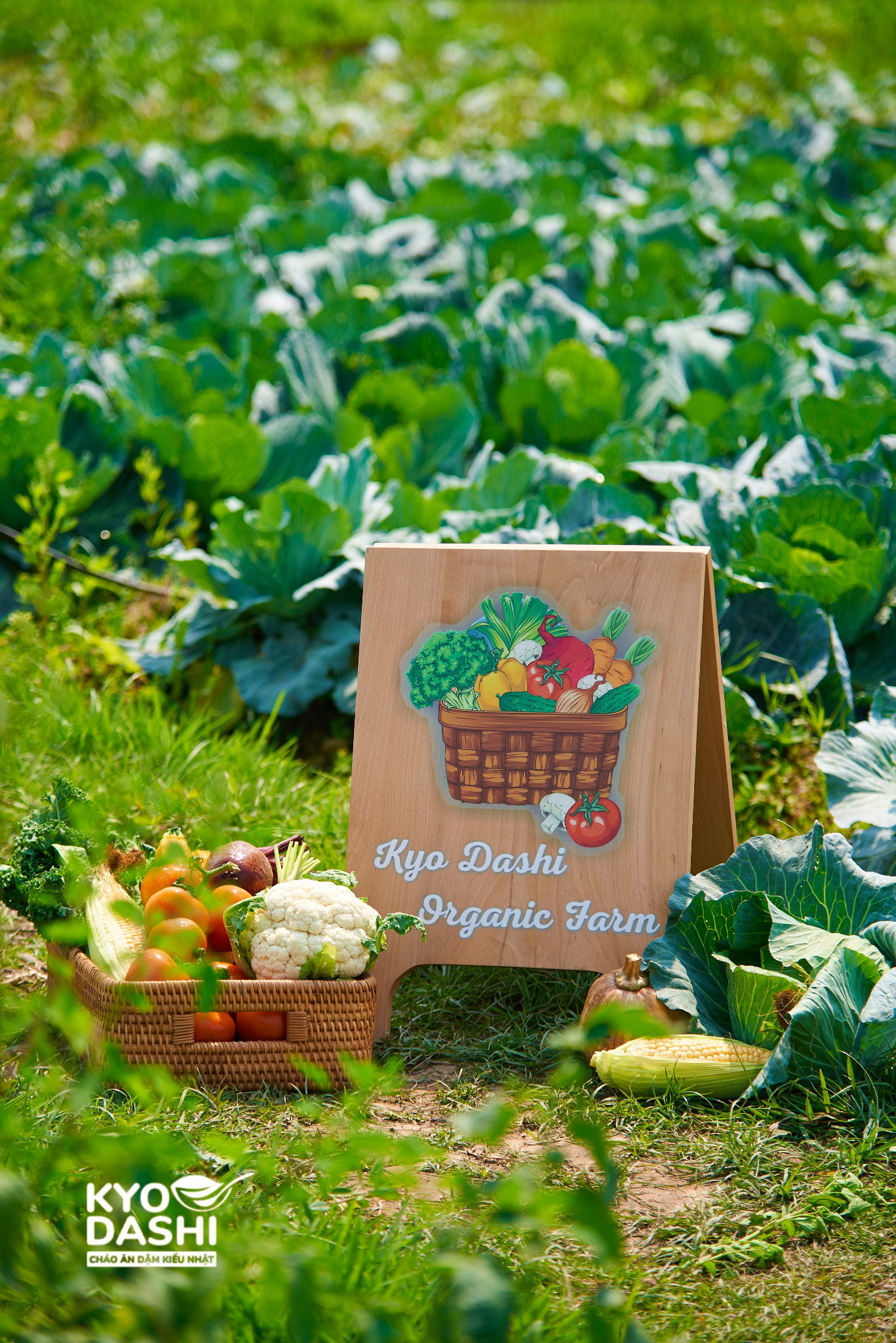 Farm hữu cơ riêng nhà Kyo Dashi