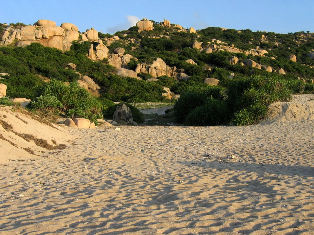 Vườn quốc gia Núi Chúa nằm giáp ranh giữa hai tỉnh Ninh Thuận và Khánh Hòa, trong không gian du lịch vịnh Cam Ranh với nhiều lợi thế phát triển du lịch sinh thái bền vững. Ảnh: Mapio Vườn quốc gia Núi Chúa nằm giáp ranh giữa hai tỉnh Ninh Thuận và Khánh Hòa, trong không gian du lịch vịnh Cam Ranh với nhiều lợi thế phát triển du lịch sinh thái bền vững. Ảnh: Mapio