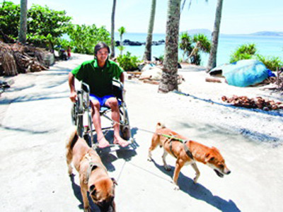 No và Phao ngoan ngoãn kéo chiếc xe lăn chạy trên đường bêtông hắt nắng trên đảo Bé. No và Phao ngoan ngoãn kéo chiếc xe lăn chạy trên đường bêtông hắt nắng trên đảo Bé