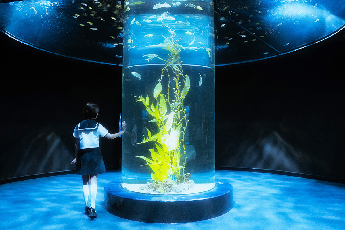 Bộ ảnh có tên gọi “Mermaid's memories”.