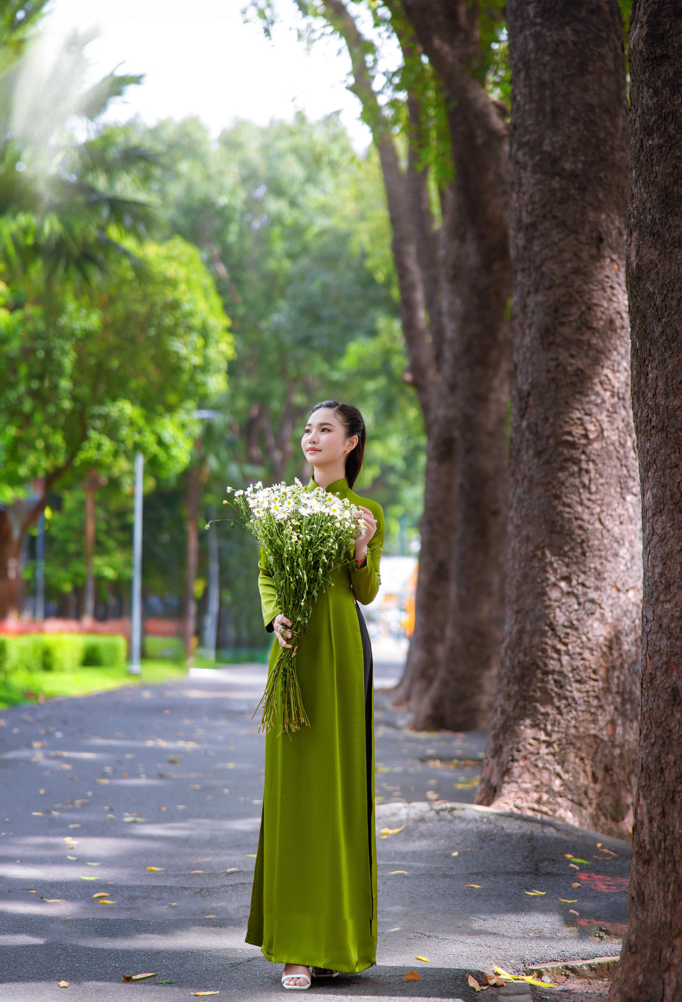 Cúc họa mi ẩn chứa nhiều ý nghĩa bí ẩn đằng sau vẻ đẹp hoang sơ và mong manh.