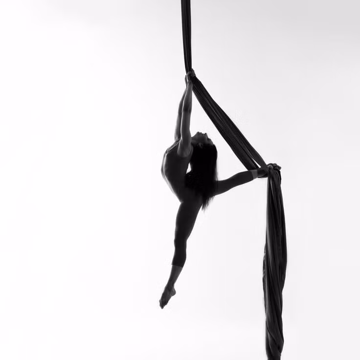 Các bộ môn nghệ thuật trên không như Aerial Silk, Aerial Hoop đang dần khẳng định vị thế là những hình thức vận động độc đáo. Các bộ môn nghệ thuật trên không như Aerial Silk, Aerial Hoop đang dần khẳng định vị thế là những hình thức vận động độc đáo.