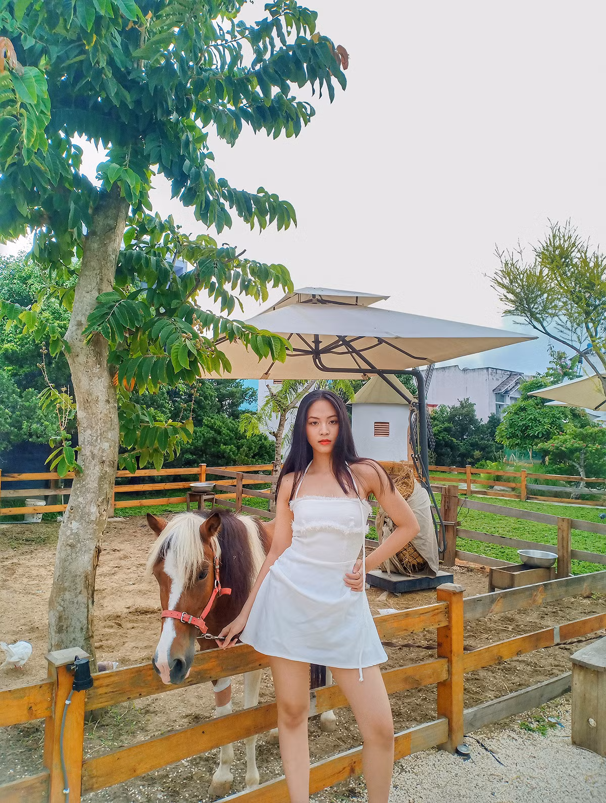 Trên hành trình của bản thân, Thanh Ngân cũng đã trải qua những khó khăn, học hỏi và tích lũy cho mình vốn kinh nghiệm. Trên hành trình của bản thân, Thanh Ngân cũng đã trải qua những khó khăn, học hỏi và tích lũy cho mình vốn kinh nghiệm.