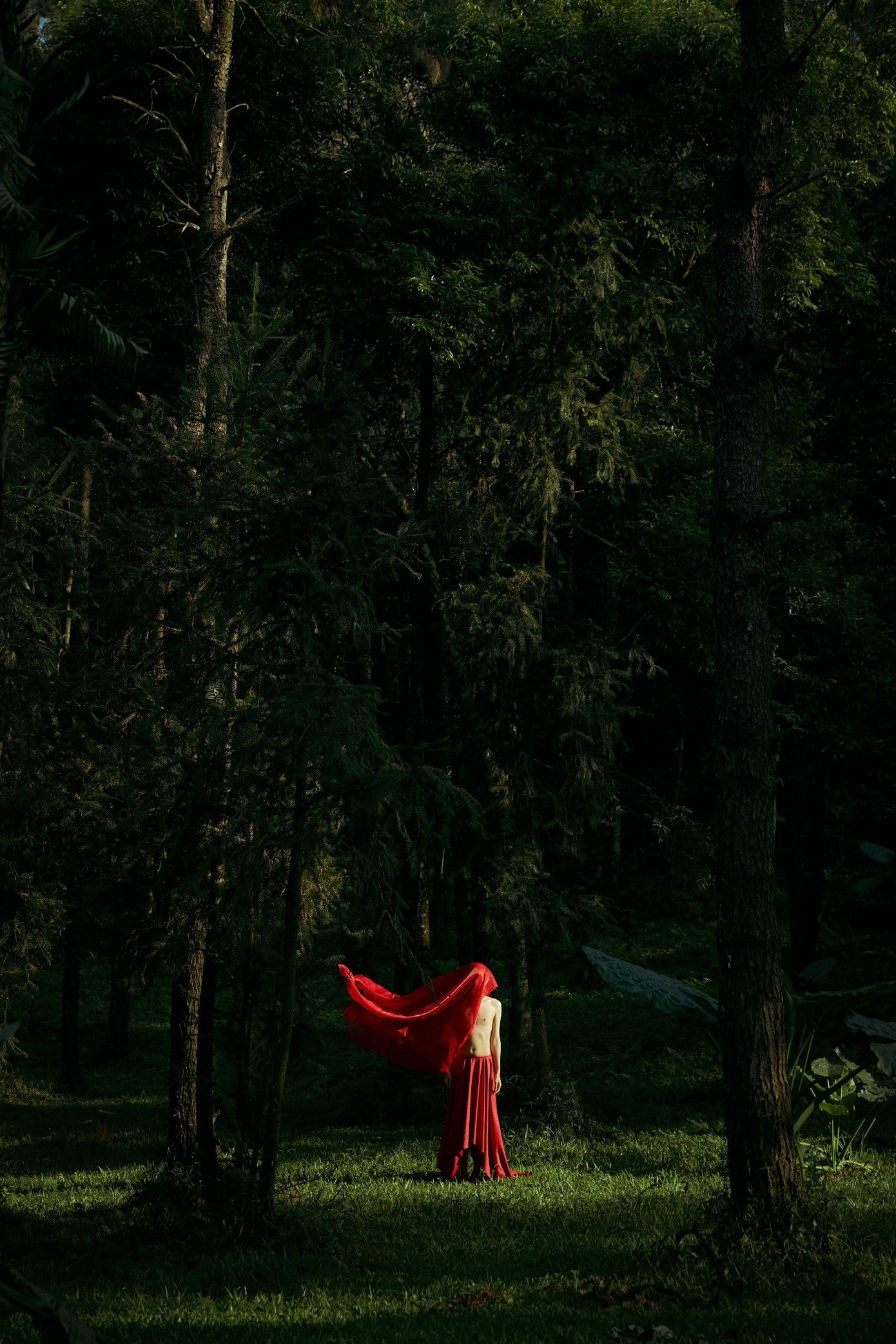 (Ảnh: Nguyễn Văn Hưng)