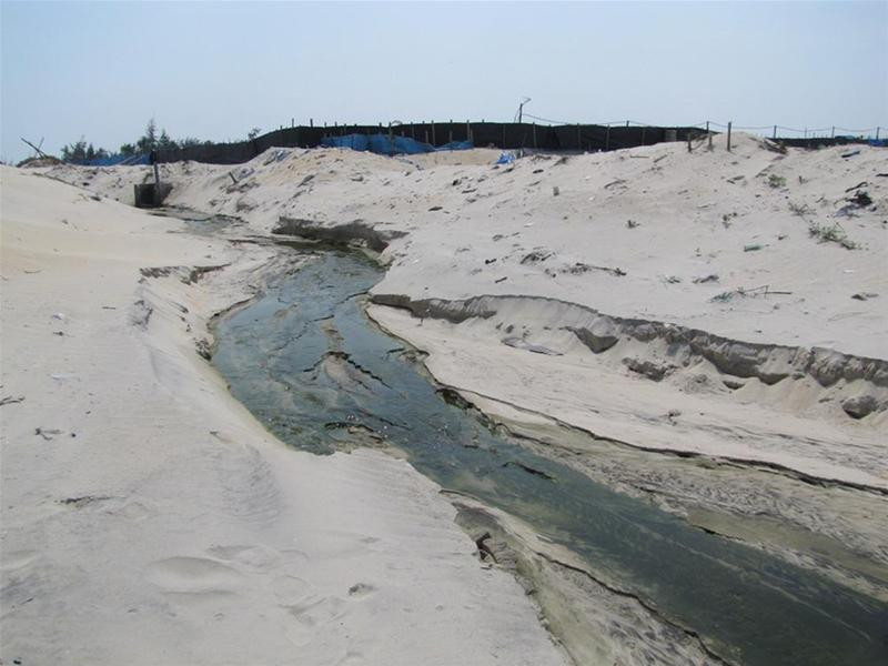 Nước thải hồ tôm ở Phong Hải đang xả thẳng ra biển - Ảnh: Ngọc Văn