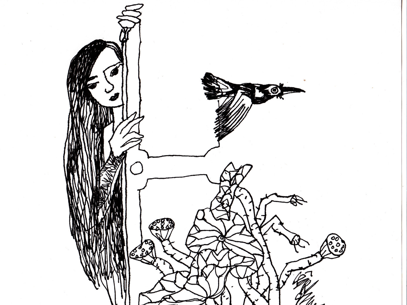 Minh họa: lê trí dũng